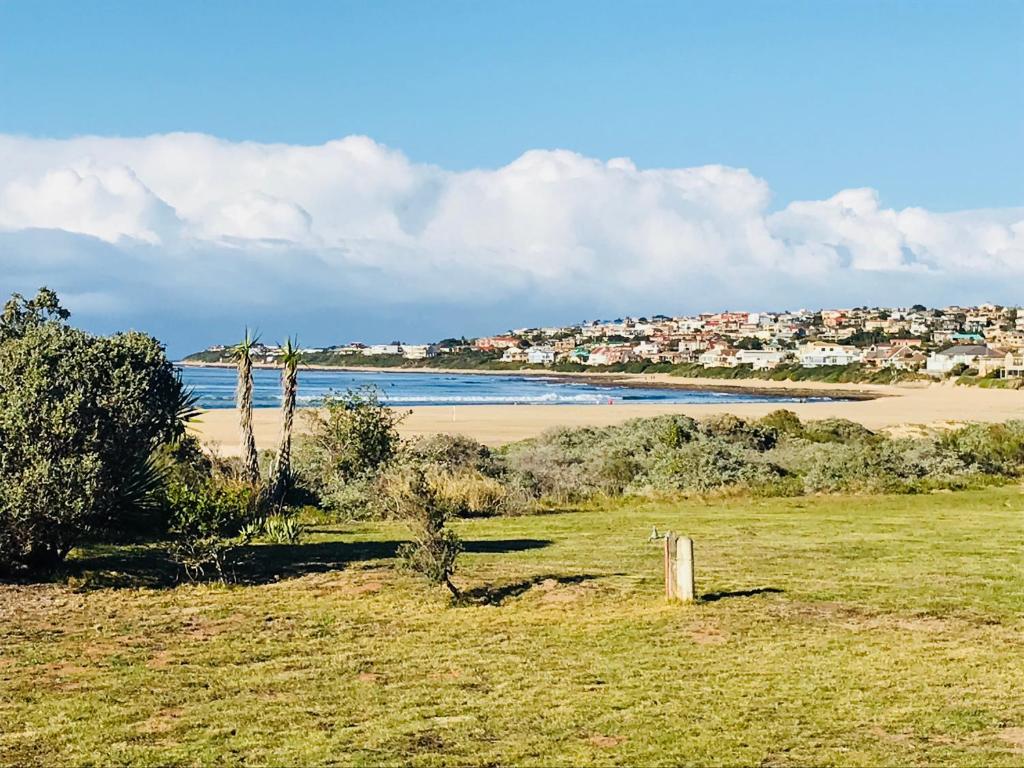 杰弗里湾39 Kabeljauws Road Beach House的享有棕榈树海滩和大海的景色