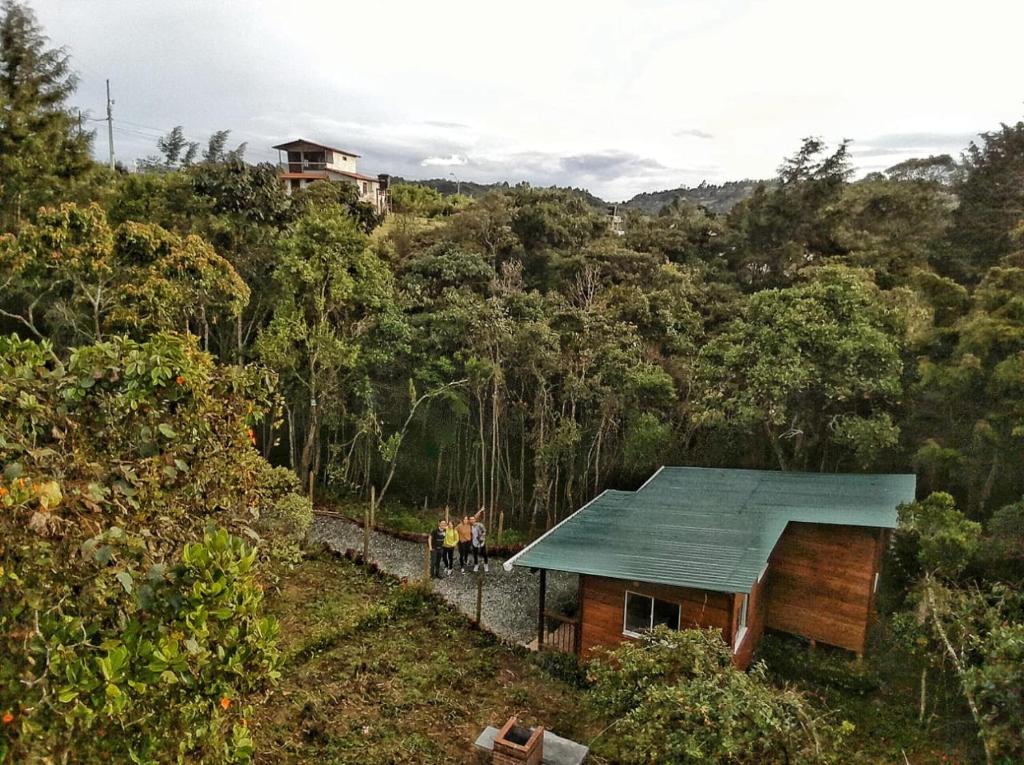 圣埃伦娜Cabañas La Silleta的山丘上带绿色屋顶的房子