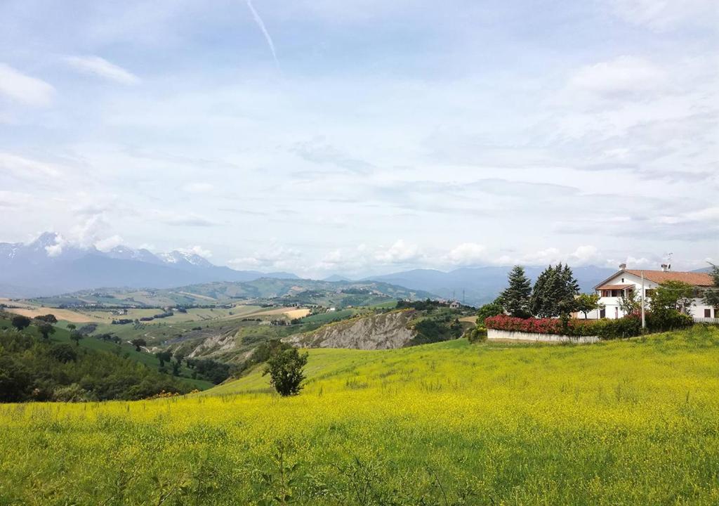 特拉莫Casa Amrita, Yoga B&B的一座小山上的房屋,花田黄