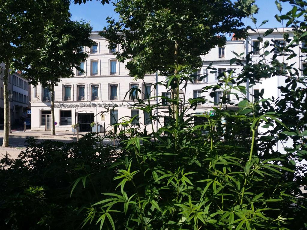 尼奥尔拉布雷奇贝斯特韦斯特酒店的前面有大量植物的白色建筑