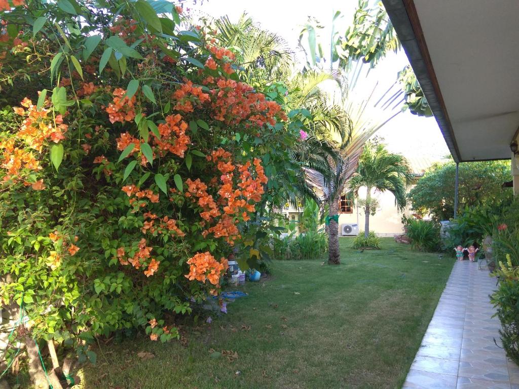 三百岭斯特拉度假酒店的灌木丛中种有橙花的花园