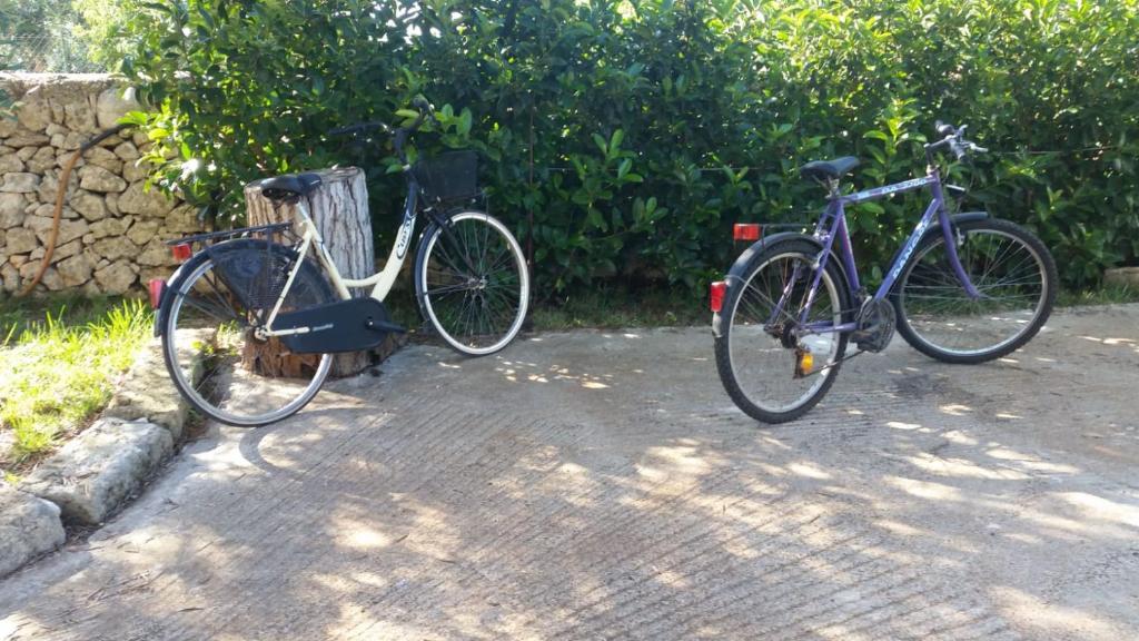 圣维托诺曼Trullo Oasi Maria的两辆自行车停在路边,彼此相邻