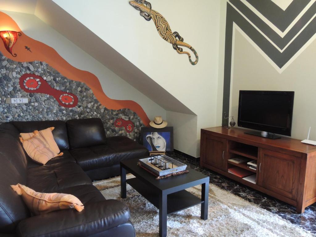 孔佩塔Casa del Sol的带沙发和电视的客厅