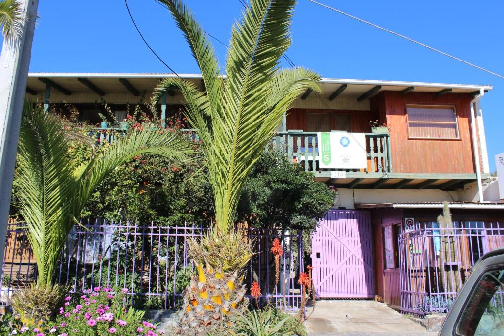 洛斯比洛斯Hostal El Conquistador的房屋前的棕榈树