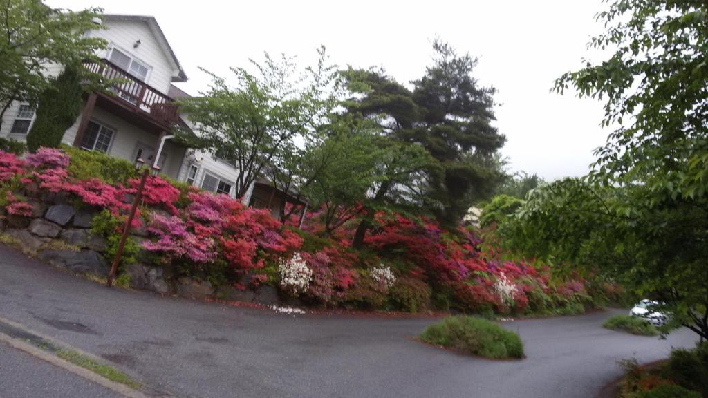 保宁市Daecheon Ocean Hill Pension的街道边有粉红色花的房屋