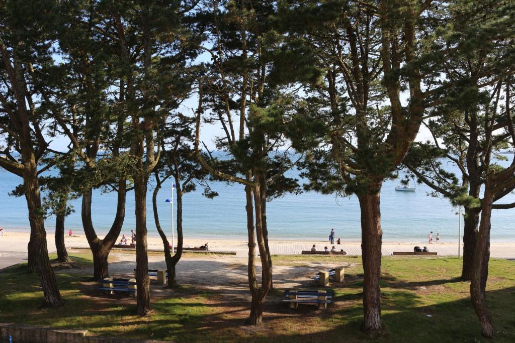 贝诺代TY TREZ Magnifique vue mer à Bénodet 10 Avenue de la Plage Résidence "Les Glénan"的海滩上树木繁茂的公园