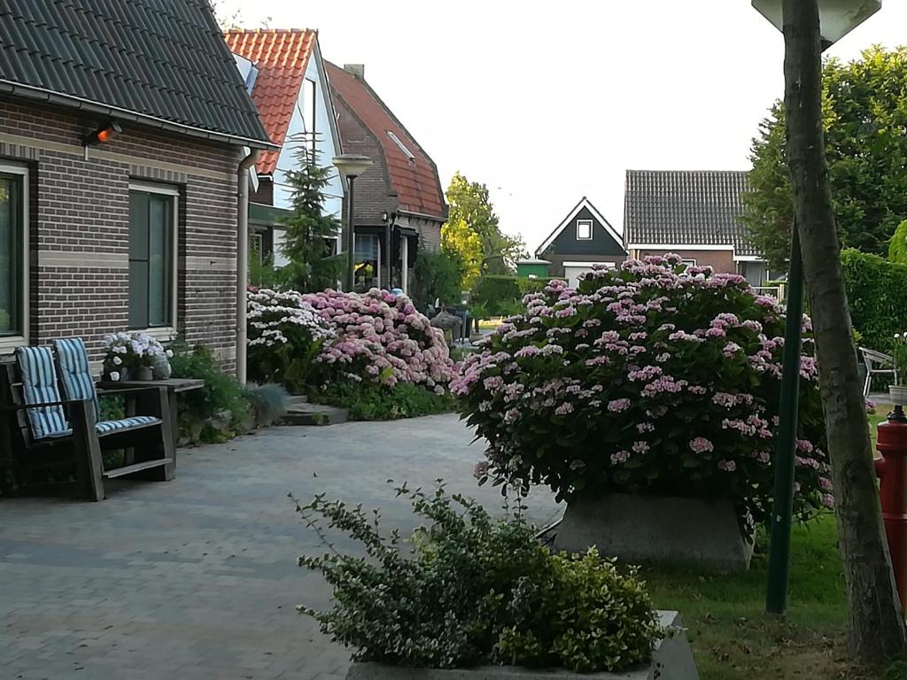 LandsmeerAppartement De Molshoop II的一座种有粉红色花卉的花园