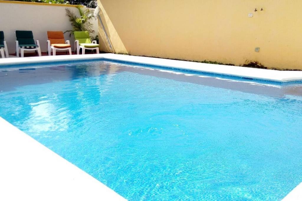 科苏梅尔Casa Coral Cozumel的一座大型蓝色游泳池,旁边设有椅子