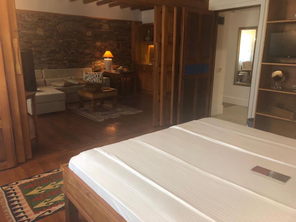 博德鲁姆艾莉维诺套房酒店的一间卧室设有一张床和一间客厅。