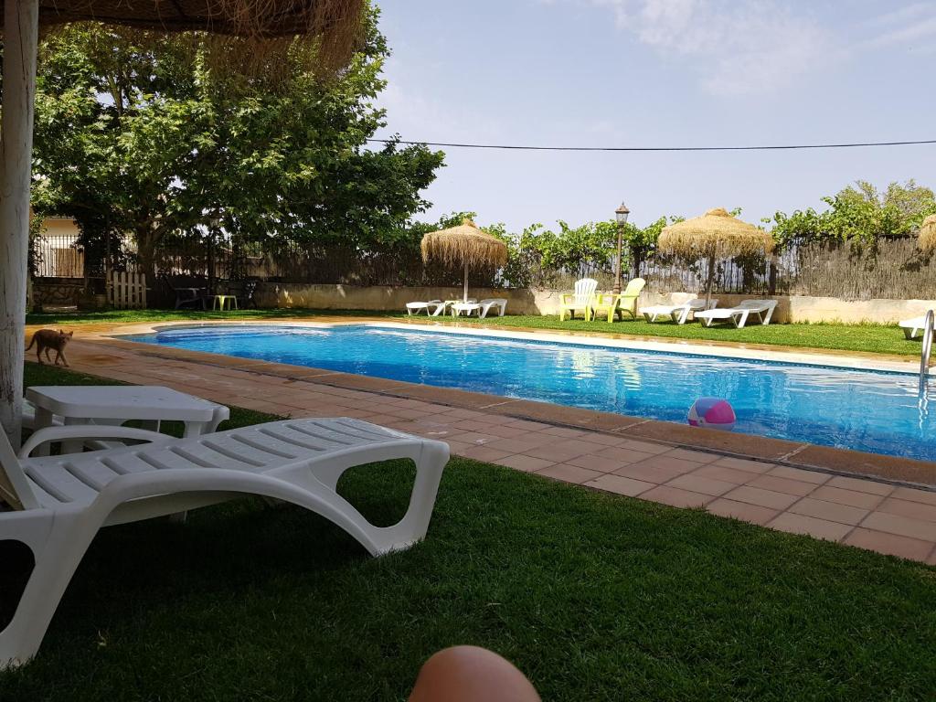 阿尔卡拉斯La Aldea的一个带白色躺椅的游泳池和一个游泳池