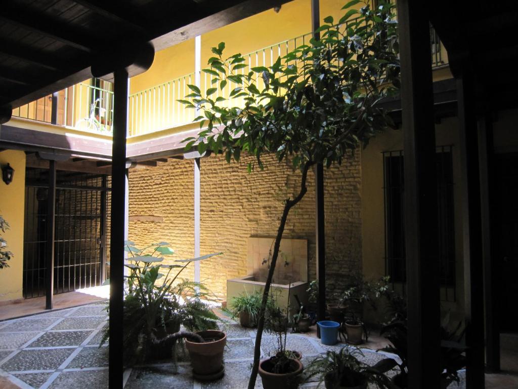 塞维利亚Apartamento céntrico Plaza del Salvador的种有盆栽植物的庭院和一座建筑