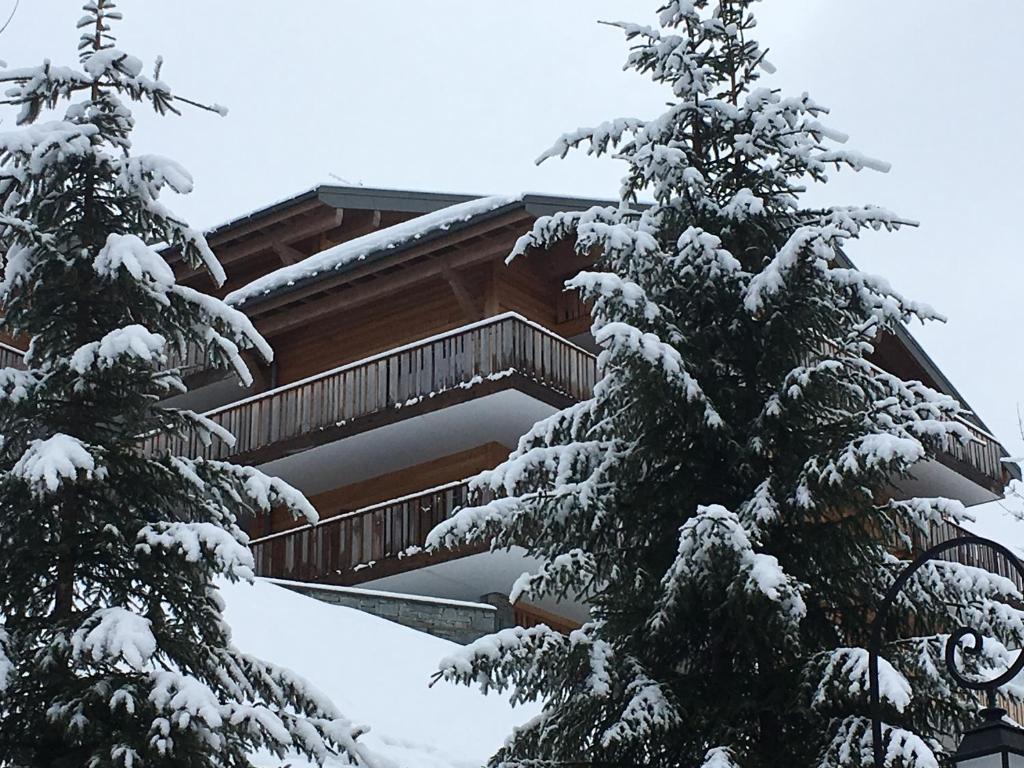 沙泰勒Les 4 Elements的雪中的房子,有雪覆盖的树木