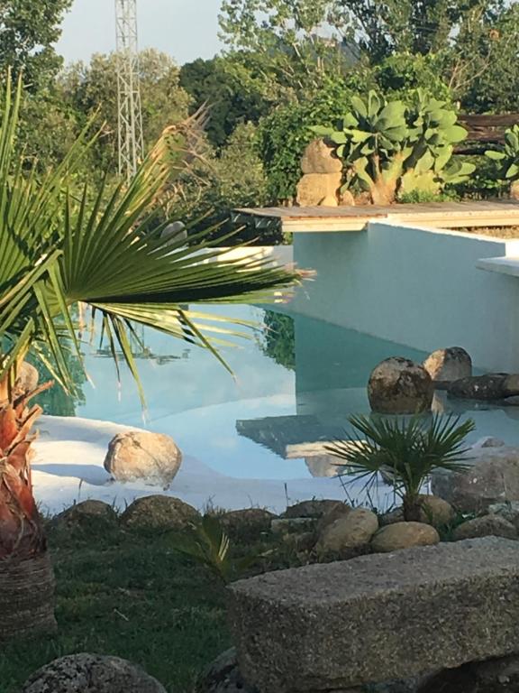 马德里加尔德拉韦拉LaEstancia的花园内的游泳池,花园内种有岩石和植物