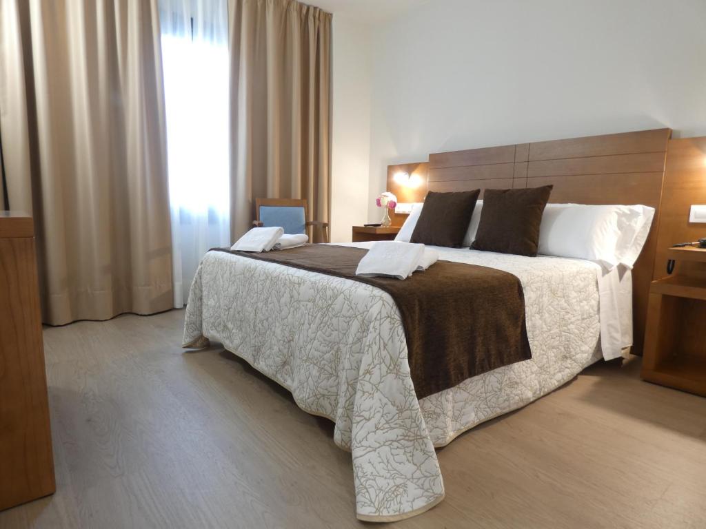 阿尔苏阿HOTEL ARZÚA的一间卧室设有一张大床和一个窗户。