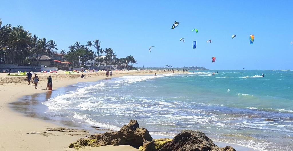 喀巴里特Condo Cabrinha - Direct on Kite Beach Cabarete的一群人在海滩上放风筝