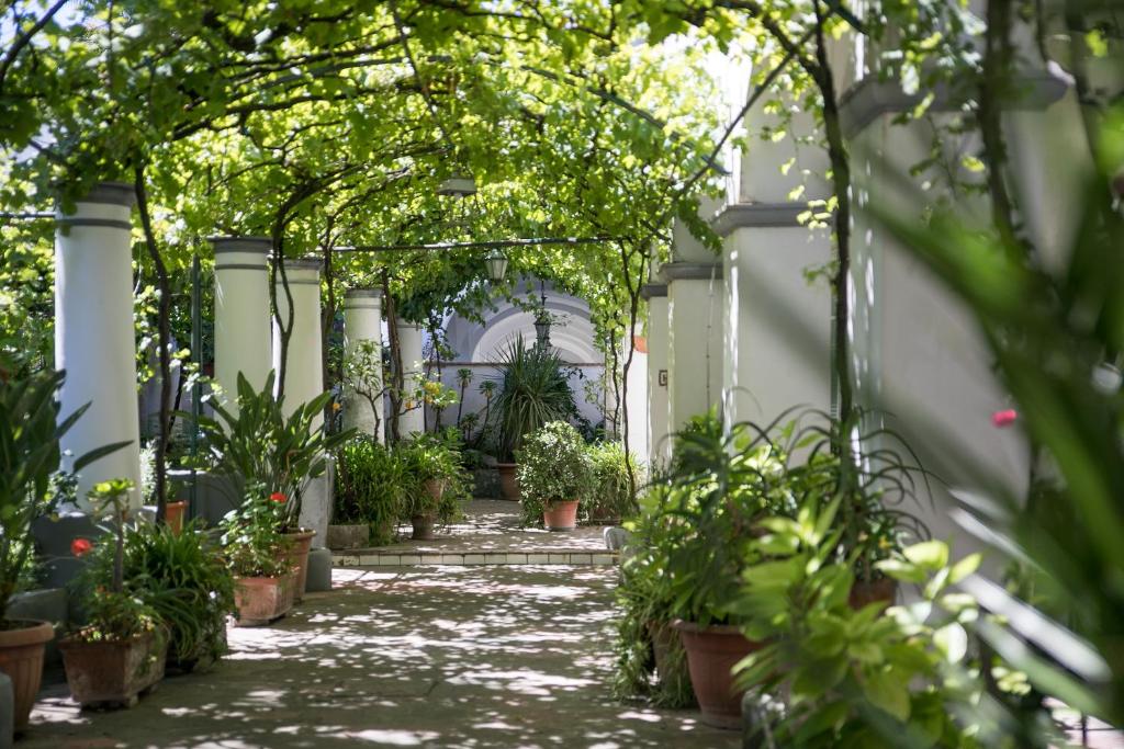 阿纳卡普里爱丽萨住宿加早餐旅馆的种植盆栽和树 ⁇ 的花园走廊
