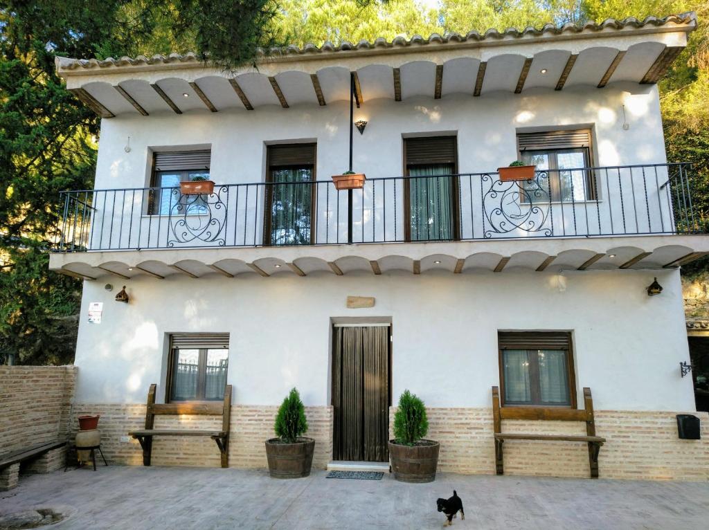 巴尔德甘加Casa Rivera Río Jucar的前面有一只黑猫的房子