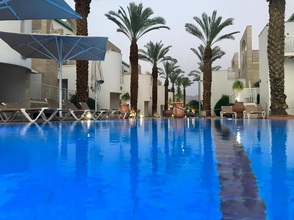 埃拉特Lagoon suite的一座种有棕榈树和遮阳伞的大型游泳池