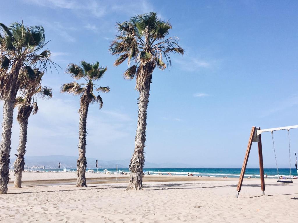 阿利坎特New apartment in San Juan Playa, Alicante的海滩上一团棕榈树,带秋千