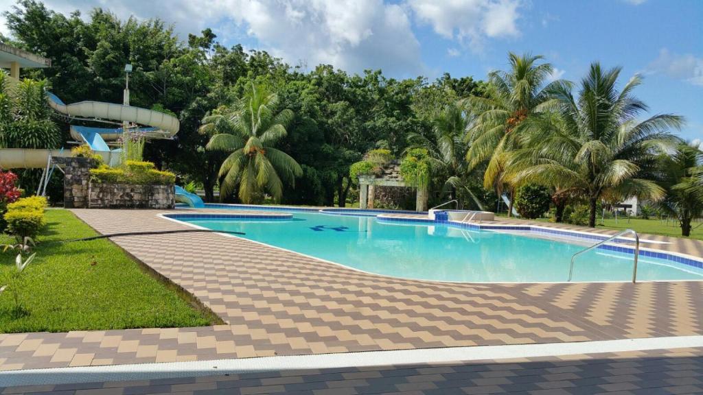 新洛哈Gran Hotel De Lago - Lago Agrio的棕榈树度假村内的游泳池