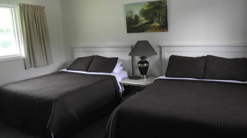 MiddletonOrchard Queen Motel & Rv Park的两张睡床彼此相邻,位于一个房间里