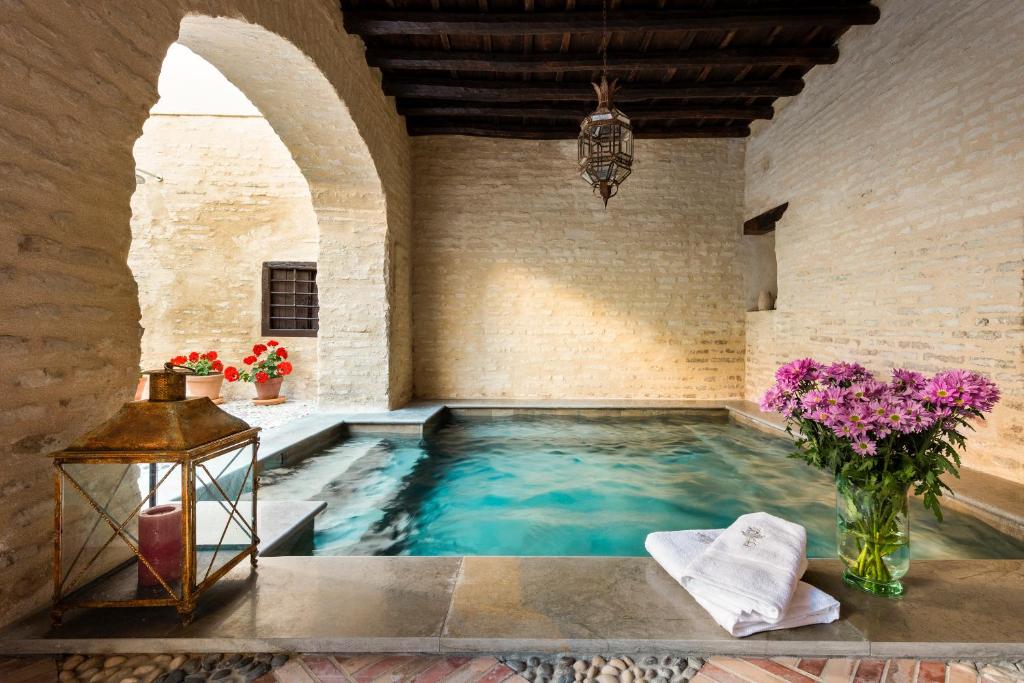 塞维利亚Palacio Bucarelli的一座在花房里建的游泳池
