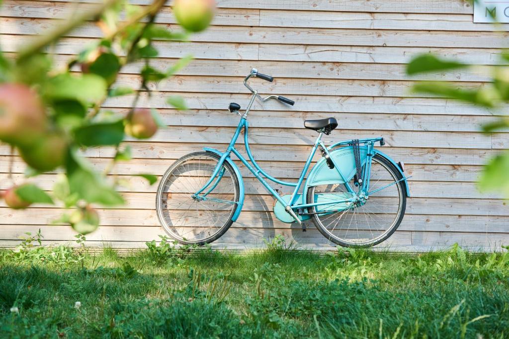 格罗宁根B&B Molenstreek的停在墙上的一辆蓝色自行车