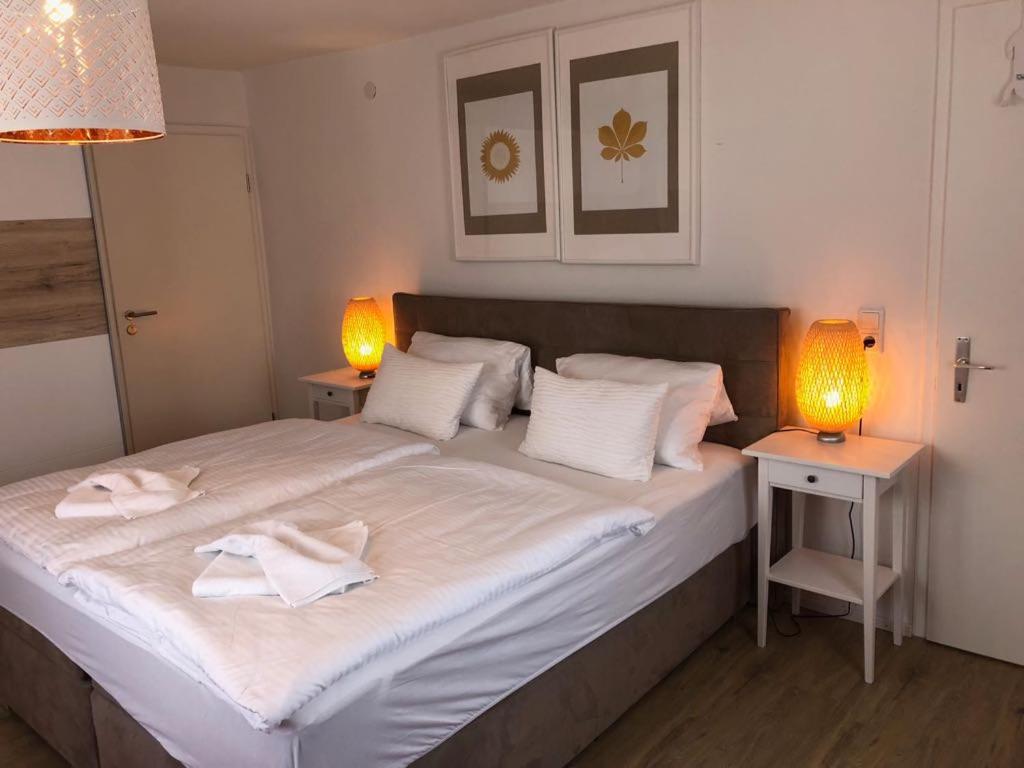 阿尔布鲁克ZUM BAHNHÖFLE Restaurant & Hotel - Albbruck Am Rhein的一间卧室配有一张带两盏灯的大型白色床。