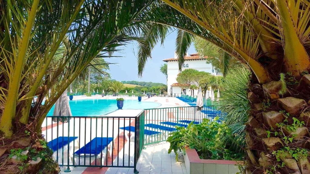 乌瑞基尼Domaine de Bordaberry的一个带游泳池、棕榈树和椅子的度假酒店