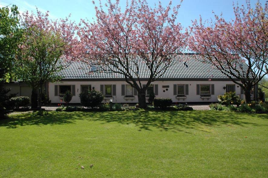 BillumFeriestedet Rønne的一座大白色房子,在院子里种有树木