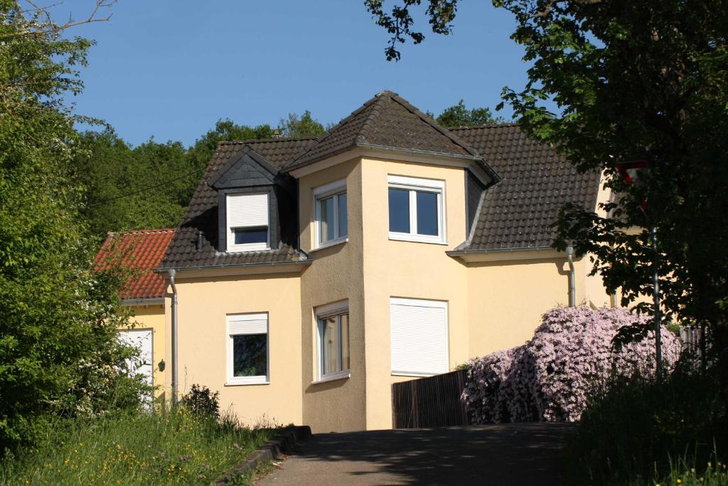 特里尔Villa Feyen in Trier的黑色屋顶的大型黄色房屋