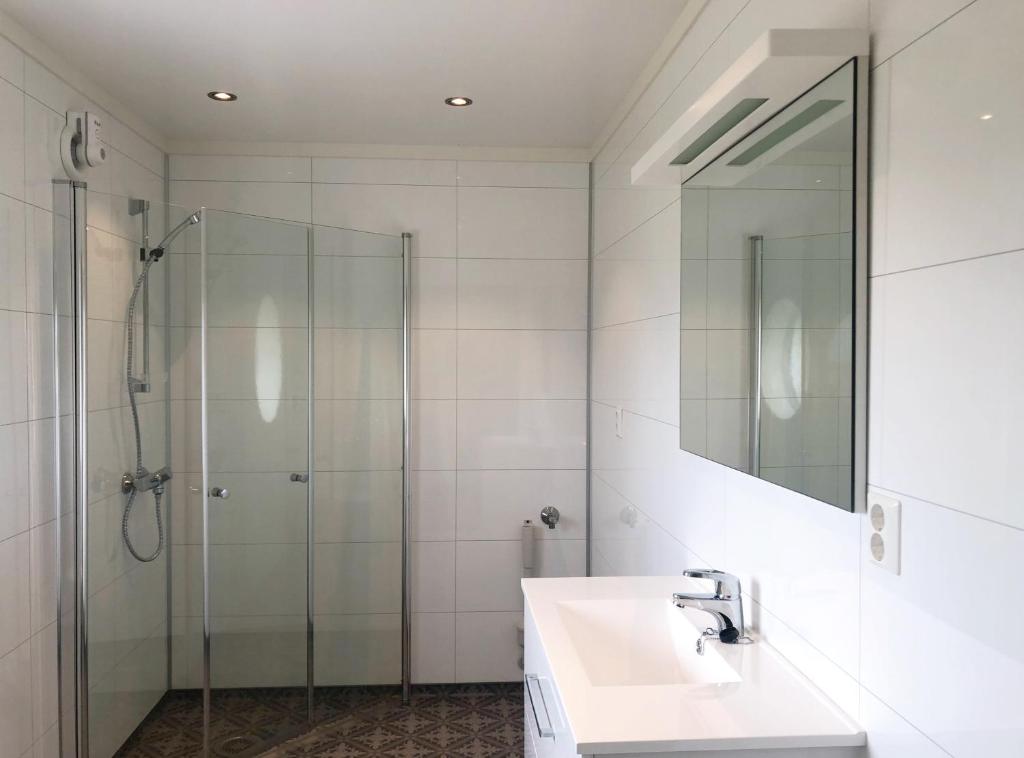 勒斯特岛罗斯特码头酒店的带淋浴、盥洗盆和镜子的浴室