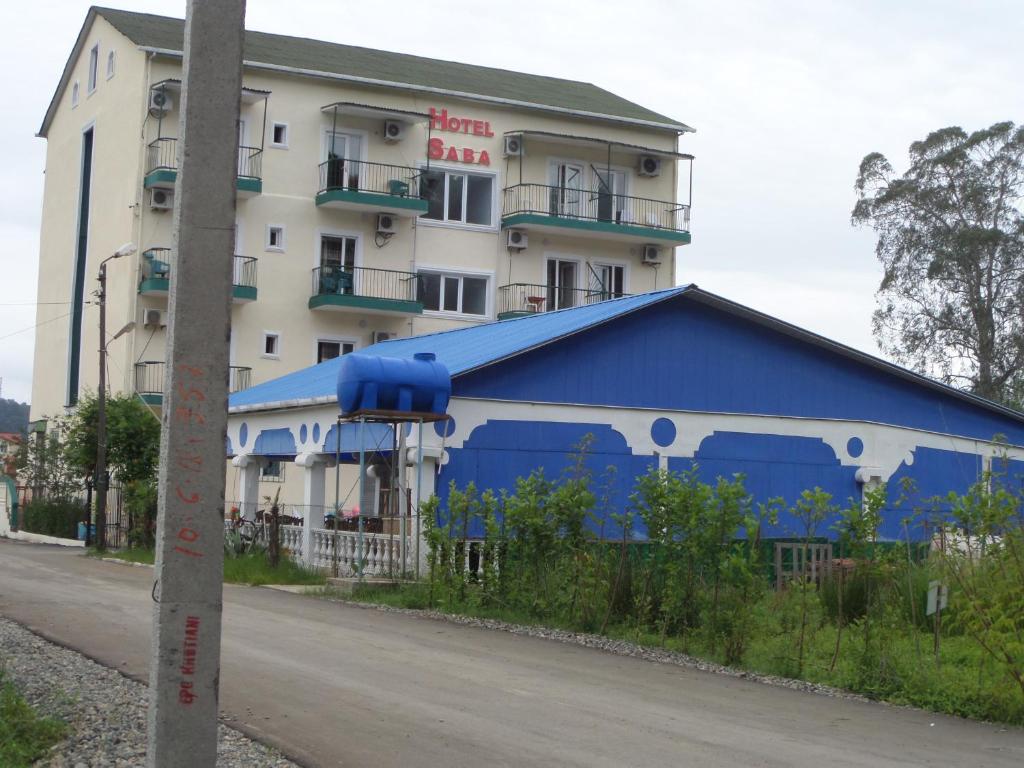 谢赫维蒂利Saba的街道旁的蓝色灌木丛建筑