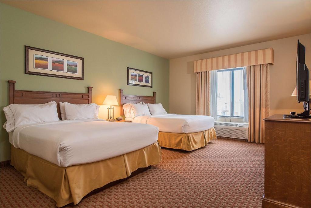 斯特吉斯斯特吉斯智选假日酒店&套房的酒店客房设有两张床和电视。