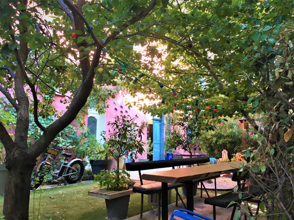 马赛Vieux Port Panier Jardin的院子里树下的野餐桌