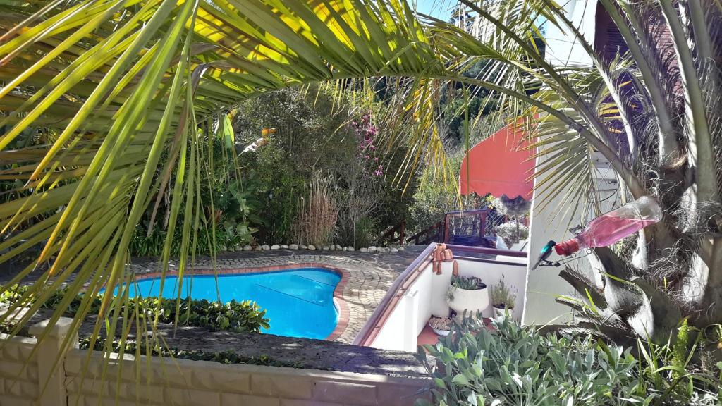 普利登堡湾梅萨斯查乡村建筑酒店的棕榈树花园内的游泳池