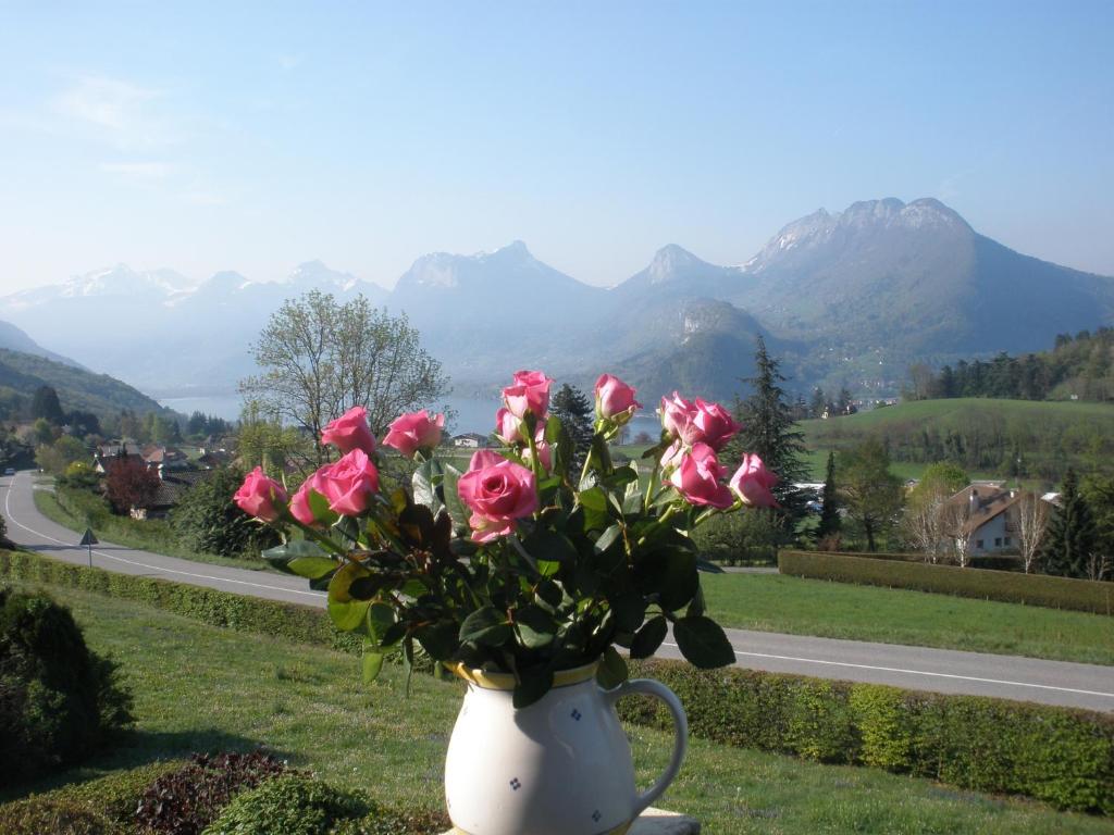 塔卢瓦尔Soleil Bleu 2 Etoiles的一条白色的花瓶,上面有粉红色的玫瑰花