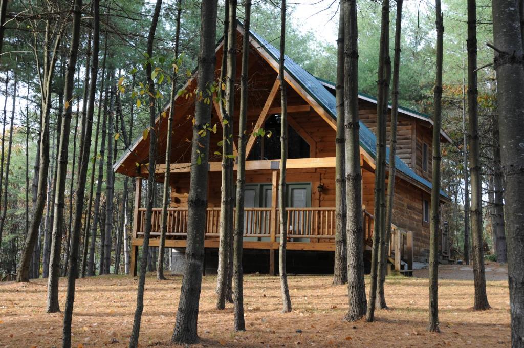 BeaverThe Cabins at Pine Haven - Beckley的森林中央的小木屋