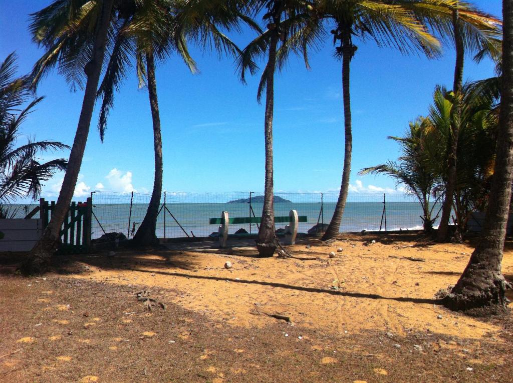 Rémire-CampYaoundé的海滩上一棵棕榈树和大海