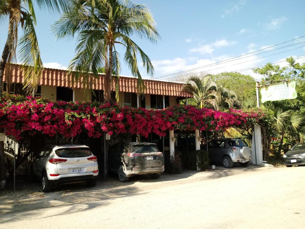 萨玛拉卡萨德尔玛住宿加早餐旅馆的一座有鲜花和汽车停在前面的建筑