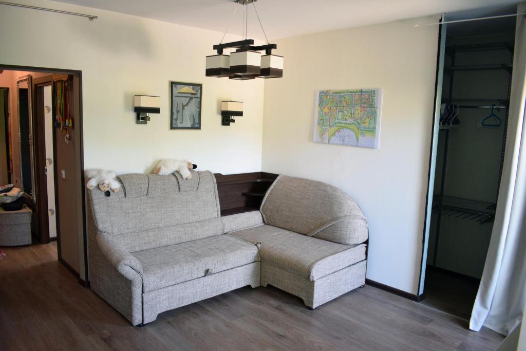 维萨吉纳斯Butterfly Apartment的一张沙发上躺着两只狗