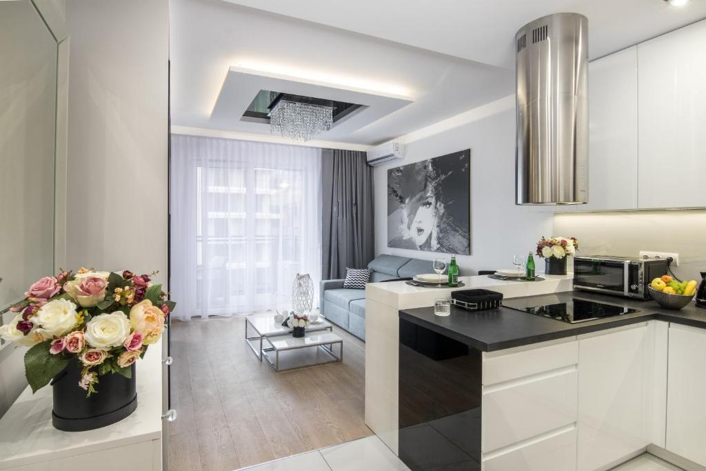 克拉科夫Crystal Luxury Apartments Rakowicka 22H的厨房以及带沙发的起居室。