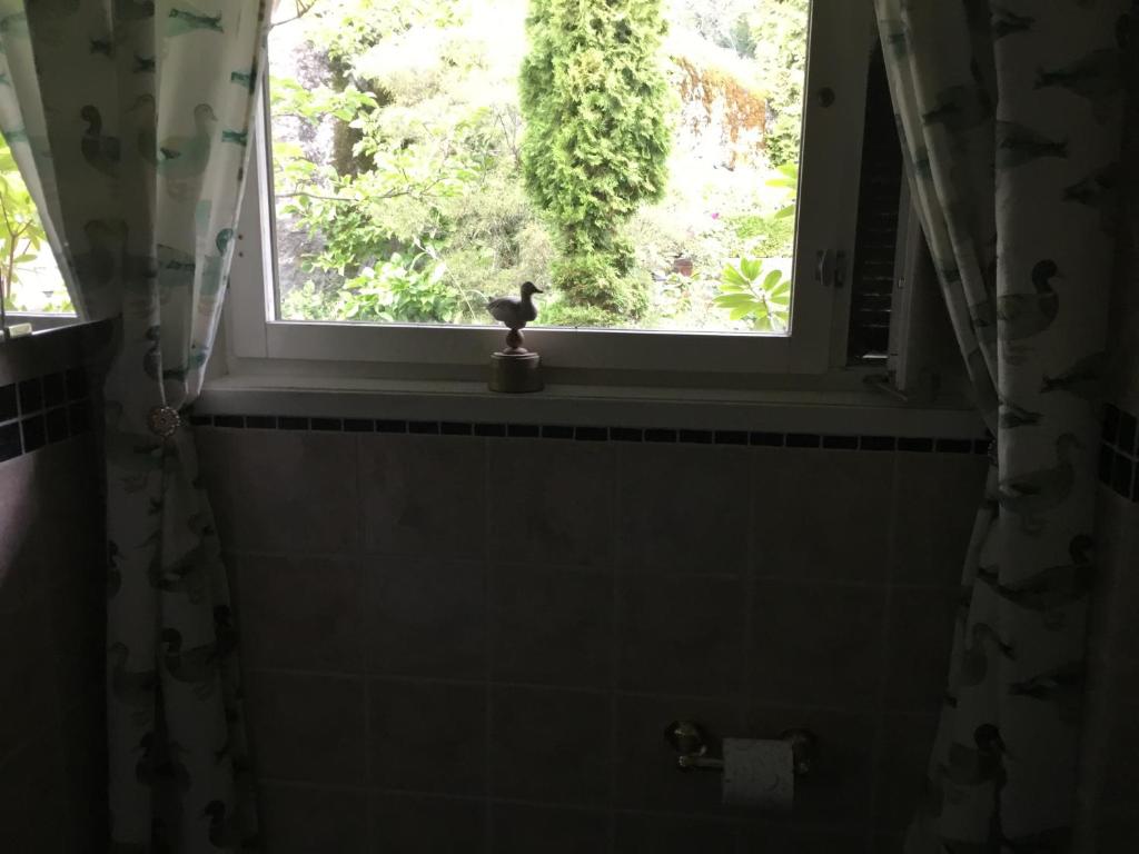 TyresöFornuddens Bed and Breakfast的浴室里的窗户,有一只猫雕像,坐在一个树 ⁇ 上