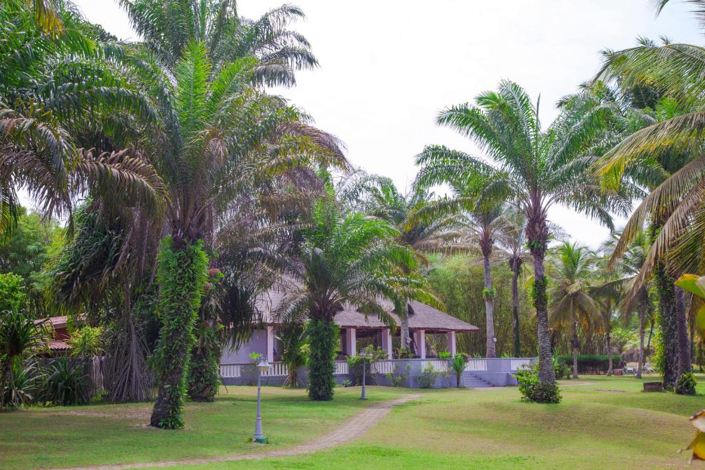 阿西尼African Queen Lodge的棕榈树公园和房子