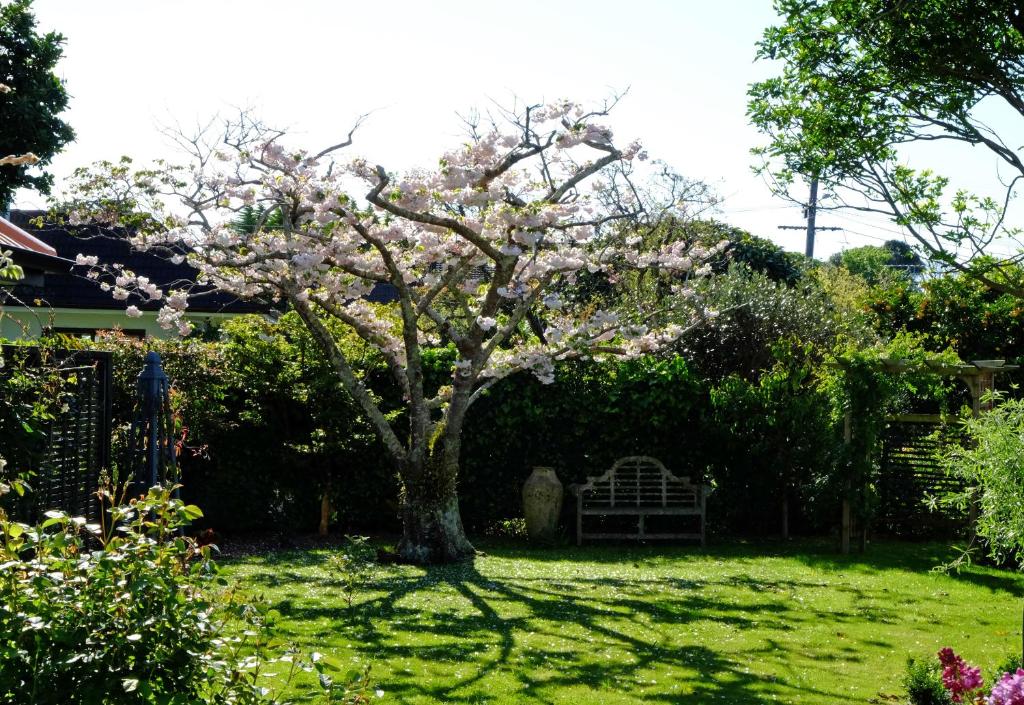 OtakiGarden Retreat的院子里的一棵树,上面有粉红色的花朵