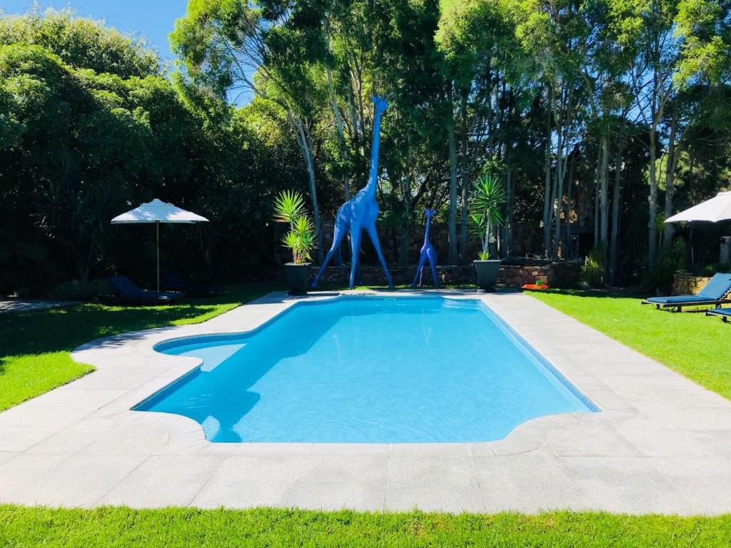 豪特湾The Tarragon的庭院中长颈鹿雕像的游泳池