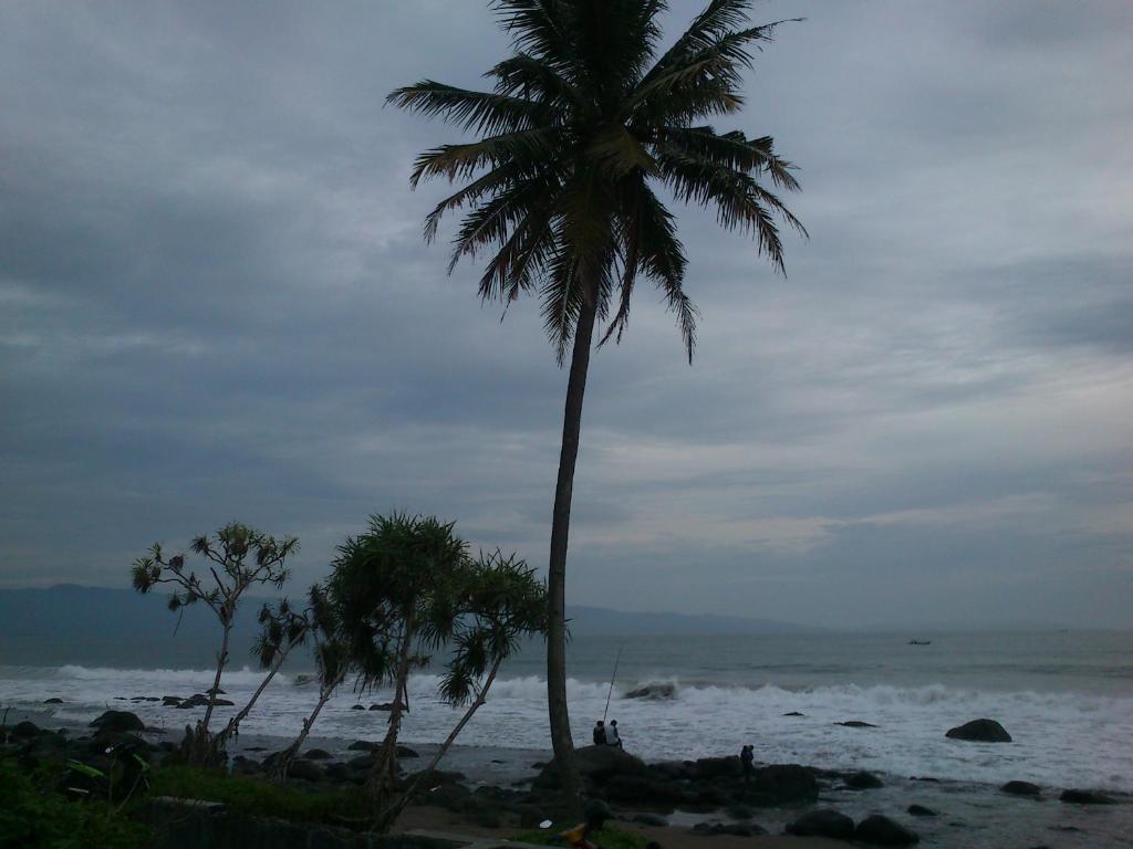 南海Cimajasquare Hotel & Restaurant的两棵棕榈树,在海滩上
