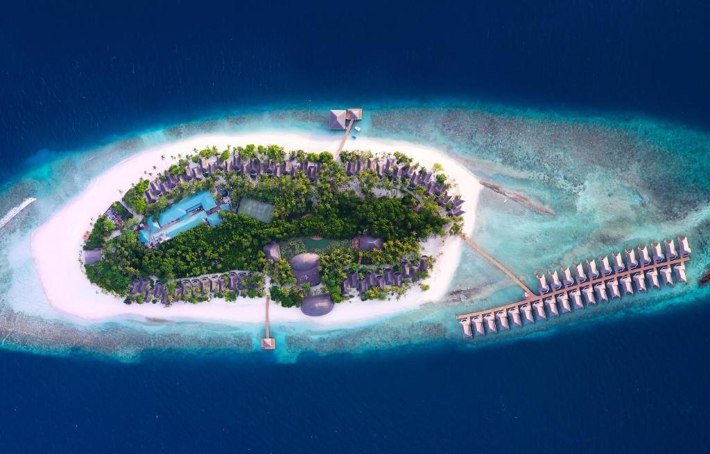 芭环礁马尔代夫梦乡度假村的相册照片