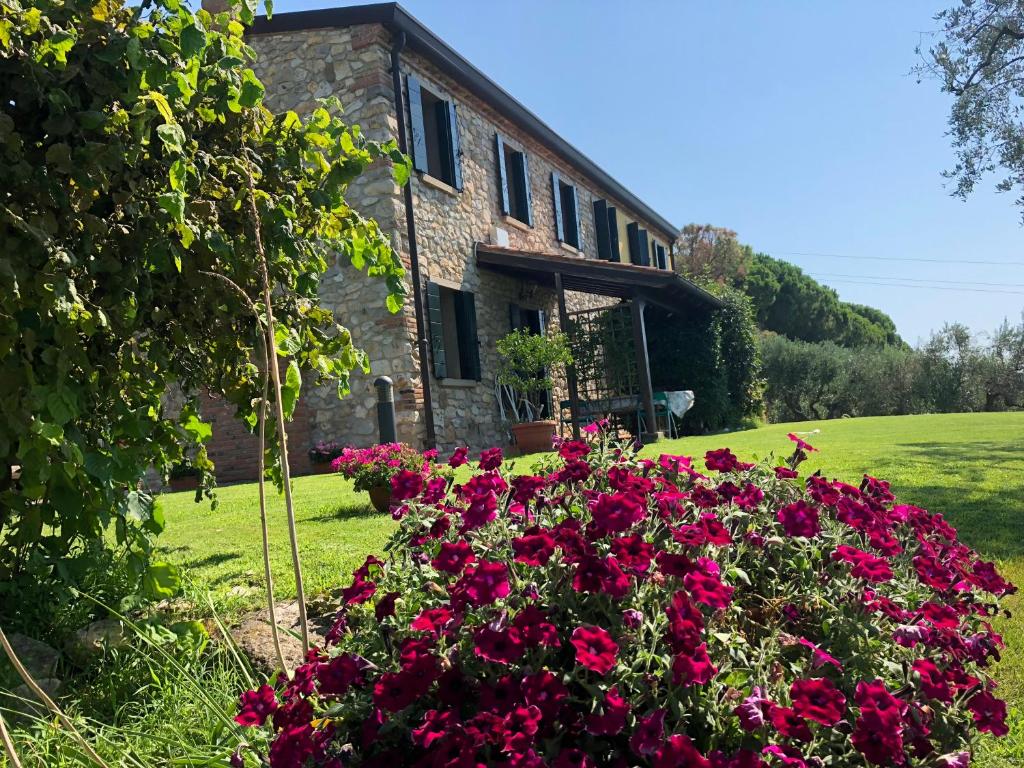 阿尔库阿佩特拉尔卡Holiday House Petrarca的前面有粉红色花的房子