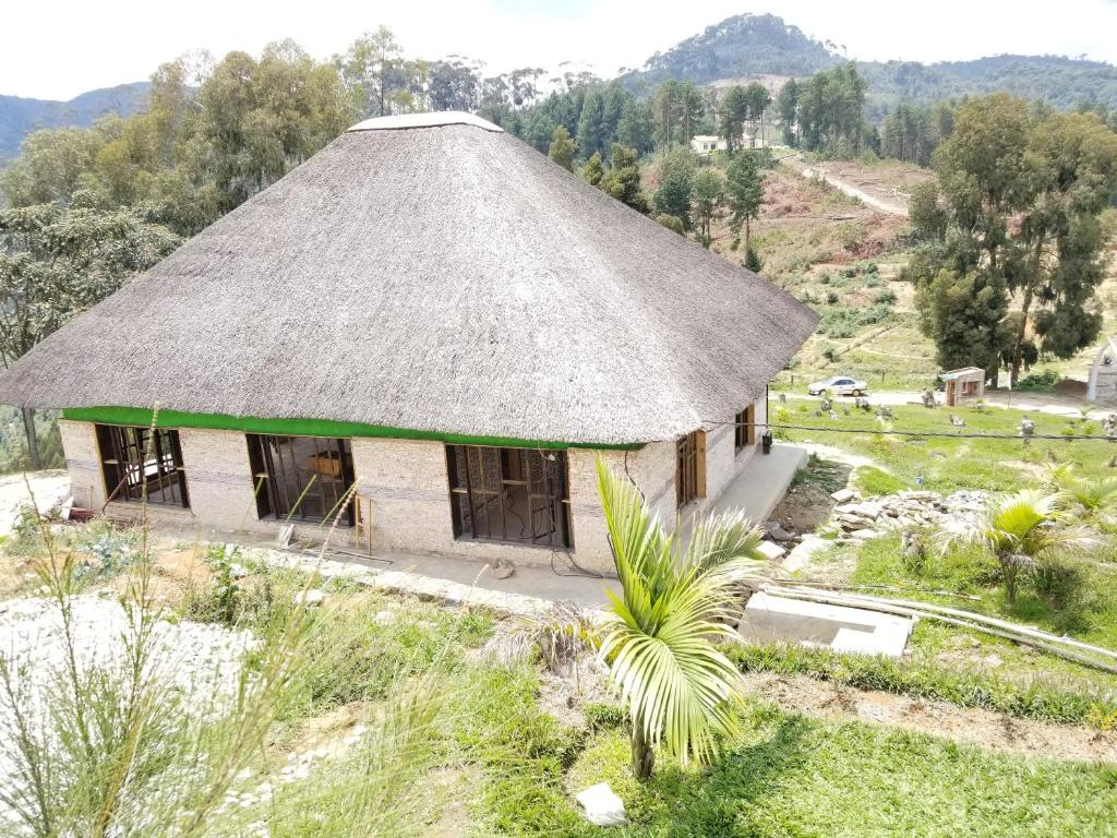 KitabiNyungwe Nziza Ecolodge的茅草屋顶的旧小屋